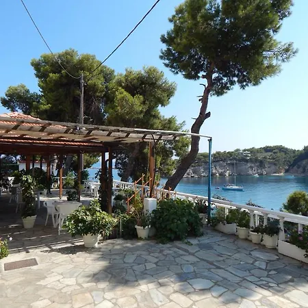 Kavos 2*